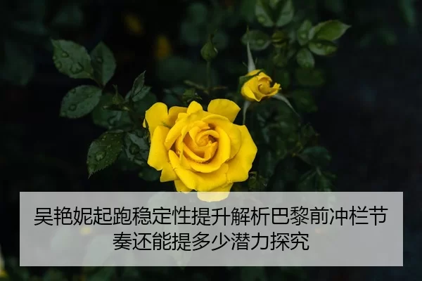 吴艳妮起跑稳定性提升解析巴黎前冲栏节奏还能提多少潜力探究