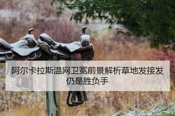 a-er-ka-la-si-wen-wang-wei-mian-qian-jing-jie-xi-cao-di-fa-jie-fa-reng-shi-sheng-fu-shou-2-427.jpg